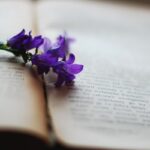 book-2378479_1280