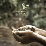 The Gardener and the Garden Within: On Boundaries and Tender Growth hand sprout