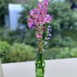 Between Here and Home: Last Lessons From My Mother moms flowers